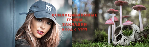 гидра Алексин
