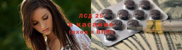 гидра Алексин