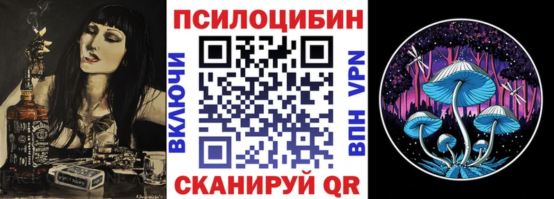 kraken ТОР  Петрозаводск  Псилоцибиновые грибы Magic Shrooms  купить  сайты 