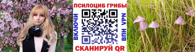 Псилоцибиновые грибы прущие грибы Петрозаводск